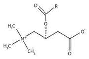 Circulating amino acids and acylcarnitines correlated with different CAC score ranges in diabetic postmenopausal women using LC–MS/MS based metabolomics approach