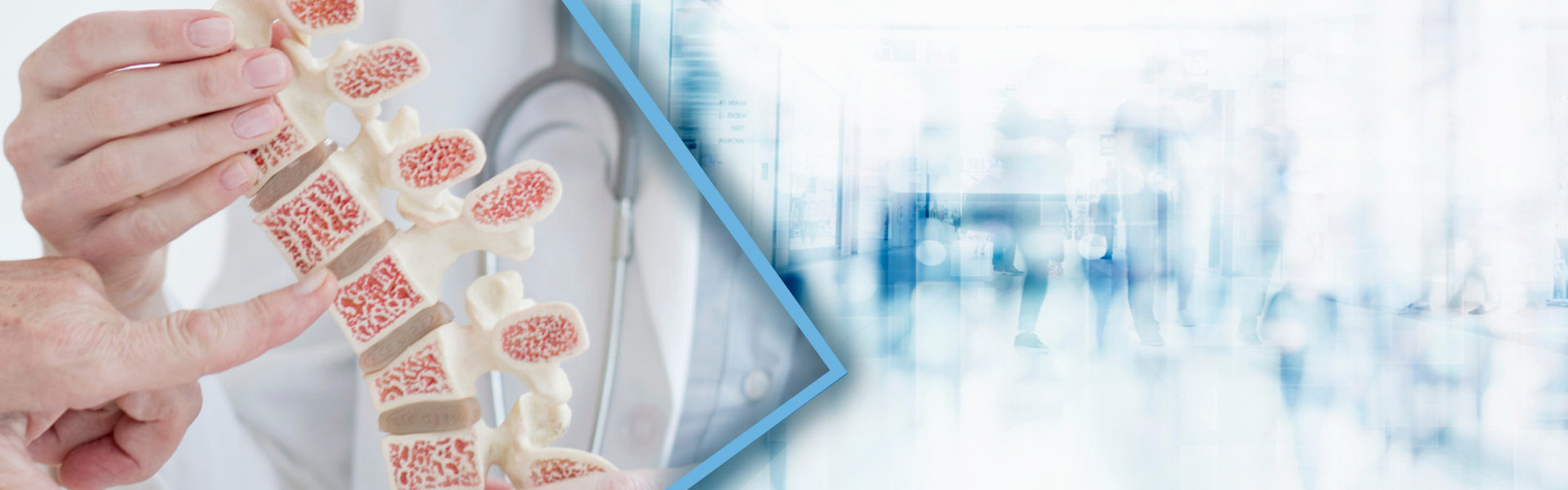 دانلود فایل سمینار تازه های استئوپروز 1404